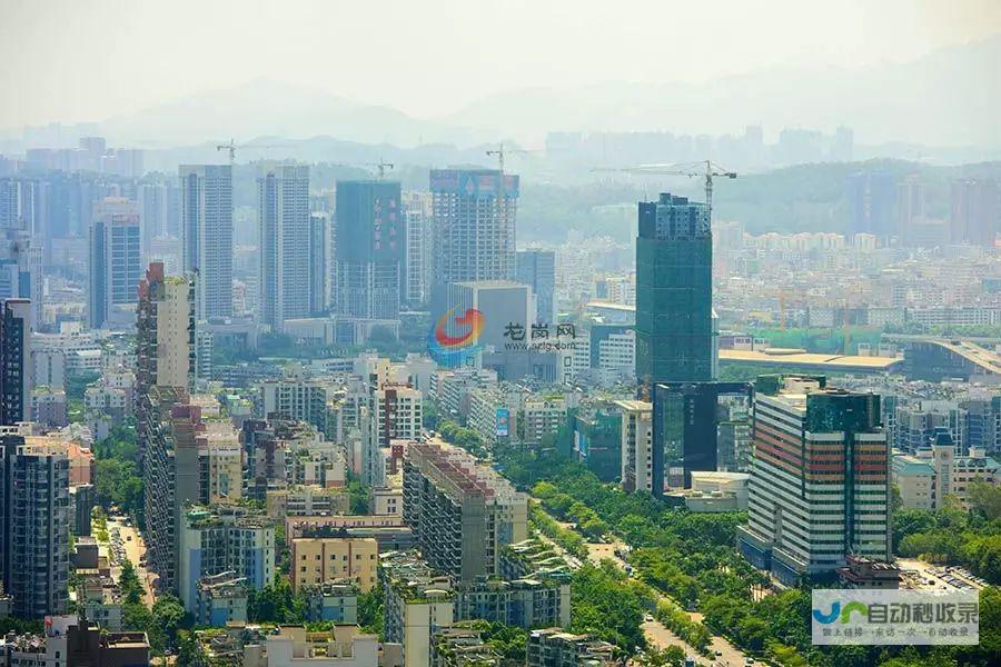 深圳龙岗网站建设公司:助力您在互联网时代脱颖而出