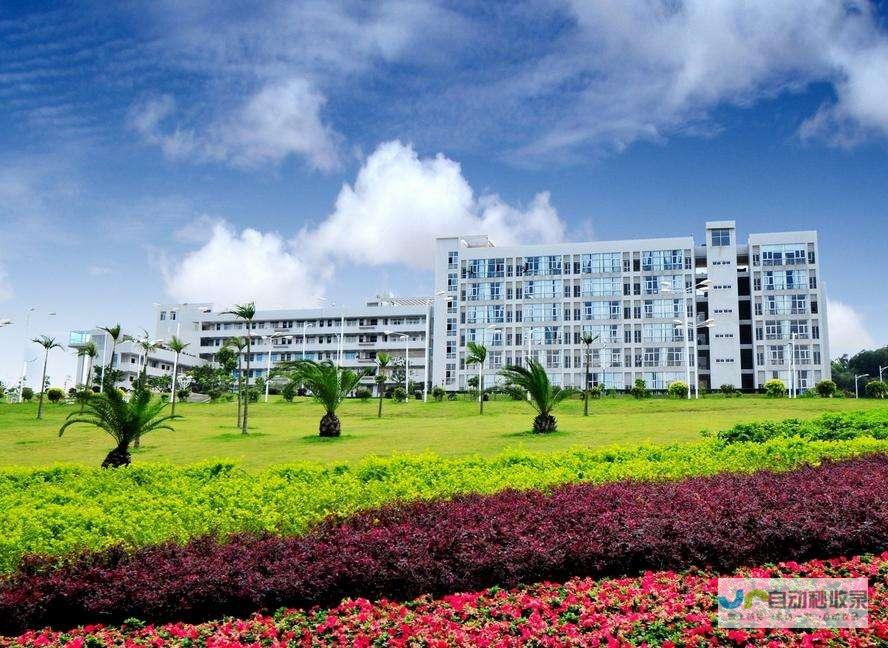 福州专业网站建设服务：从创意设计到技术开发，全方位提升您的网络形象和商业价值！